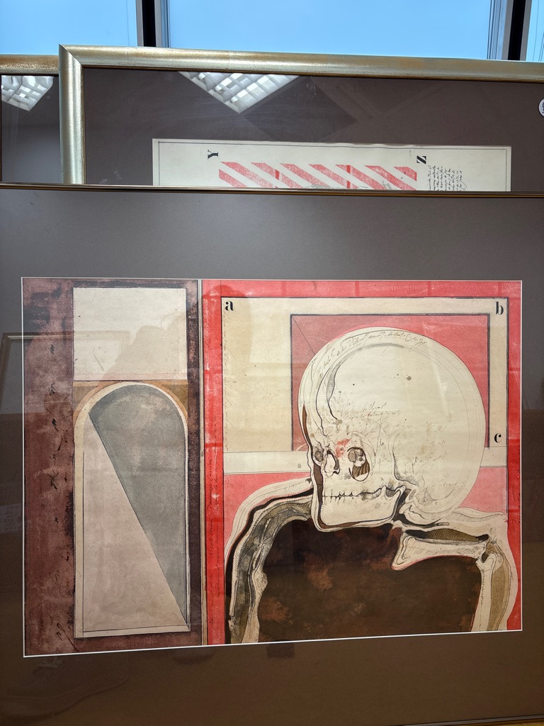 Jesse A. Fernandez — Vanité