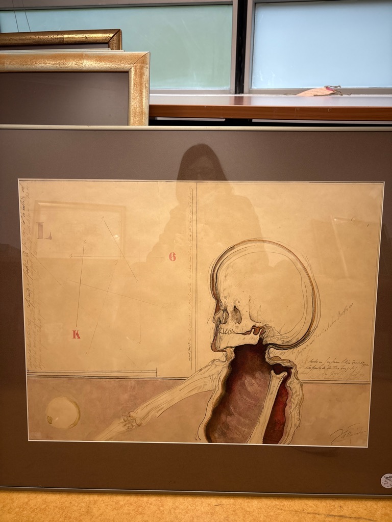 Jesse A. Fernandez — Vanité