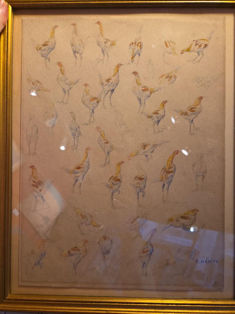 Edouard Merite — Etude de faisans Aquarelle sur trait de crayon. Signée en bas a droite numerotée planche 19/4-I