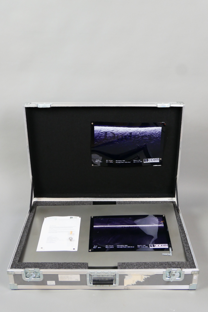 Rafael LOZANO-HEMMER (Né en 1967) — Pinches Pelos