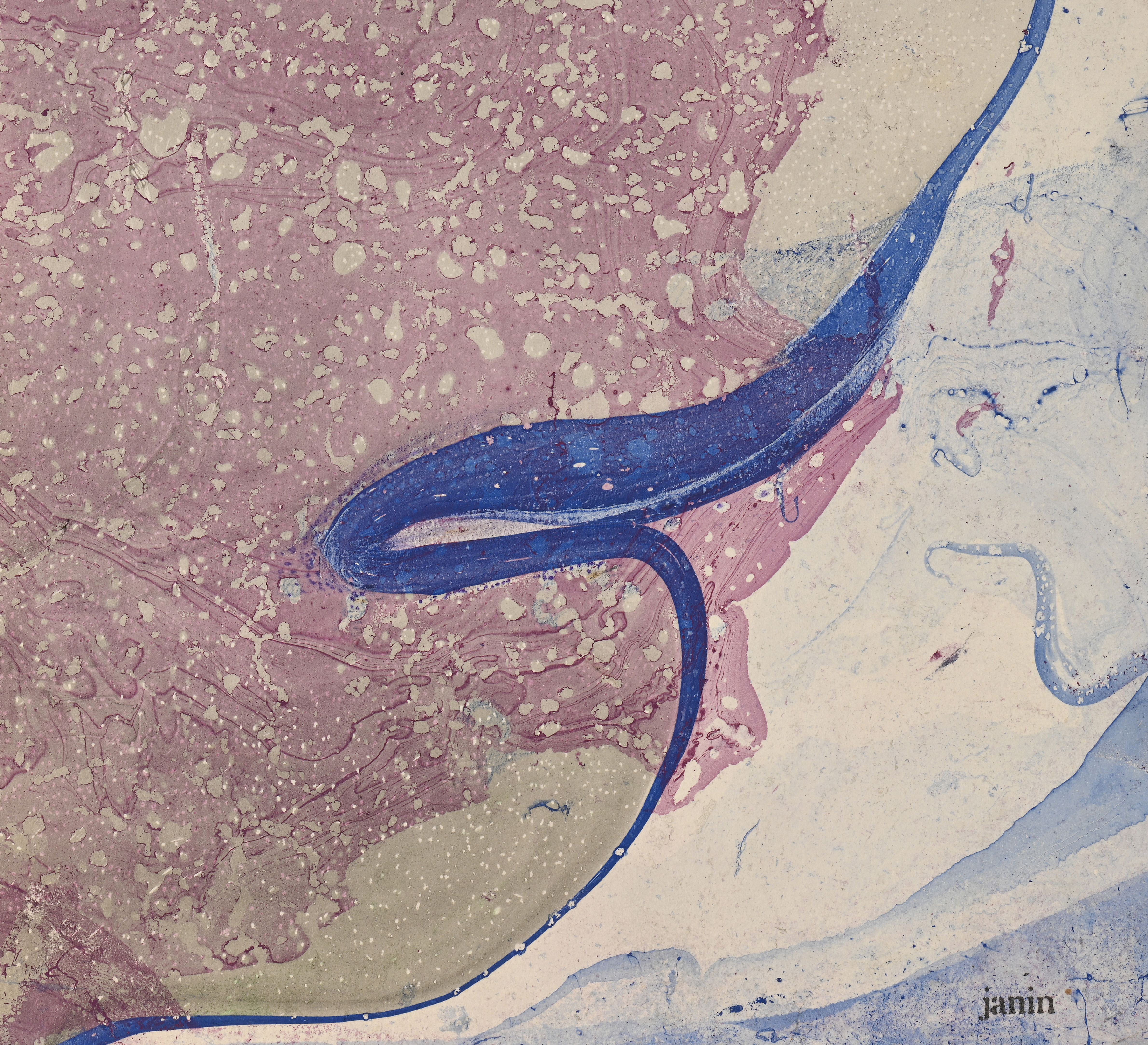 Louise JANIN (1893-1997) — Cosmogrammes