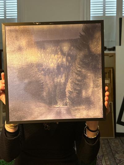 Annika ERIKSDOTTER — Les arbres sous la neige