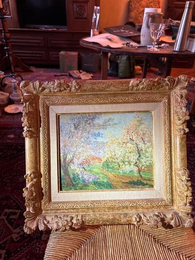 Ecole Moderne — Les arbres en fleurs au printemps