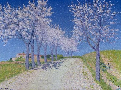 — Amandiers en fleurs route de Cailhau